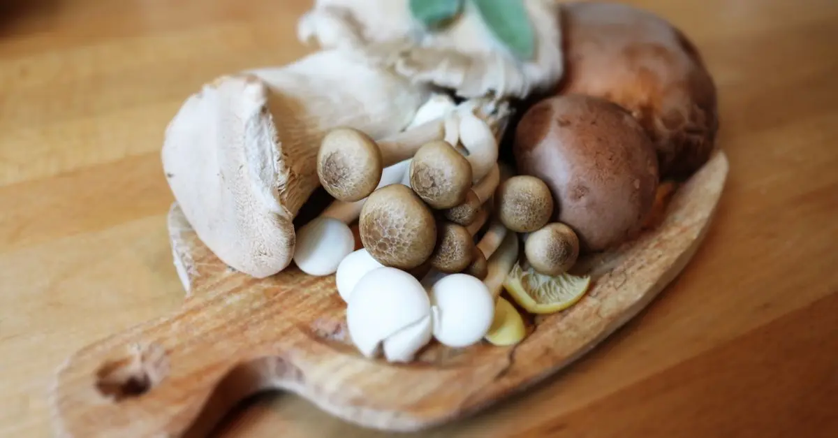 Les Différentes Variétés de Champignons en Cuisine Gourmet