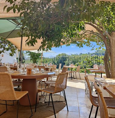 le Restaurant Picotte Provence vous propose une cuisine provençale moderne