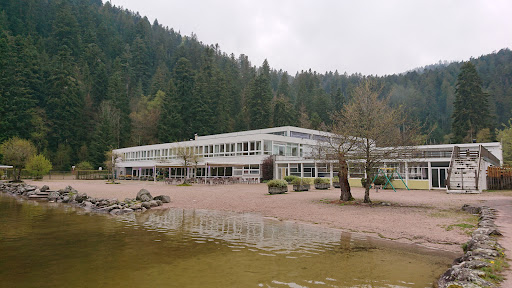 LIDO est un hôtel à Gerardmer qui dispose d'un restaurant en bord de lac. Notre hôtel reste ouvert pour vous accueillir en toute sécurité.