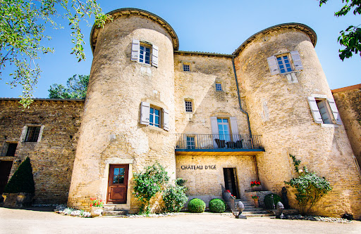 OFFICIEL | Château d'Igé ✓ Château Hôtel en Bourgogne ✓ Groupe Georges Blanc ✓ Proche Mâcon ✓ Hôtel de Luxe 4 étoiles ✓ Restaurant Gastronomique dans un Château Médiéval