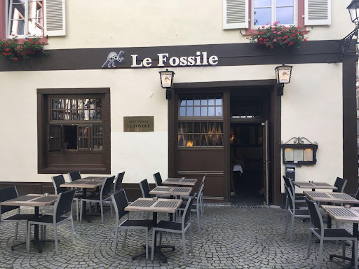 Bienvenue au restaurant Le Fossile situé à Strasbourg dans le Bas-Rhin. Le restaurant vous accueille afin de vous faire découvrir une cuisine française.