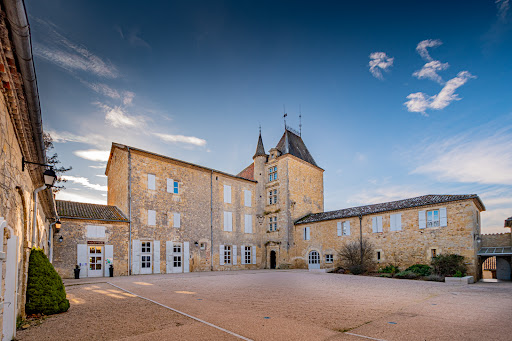 Un château entouré de vignes transformé en hôtel restaurant dans le Gers. Idéal pour les vacances