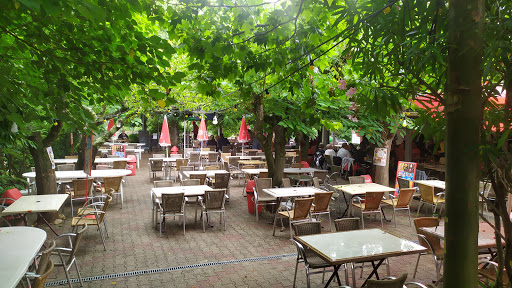 Poussez les portes de notre bar restaurant à Saint-Martin-d'Ardèche et découvrez nos spécialités traditionnelles