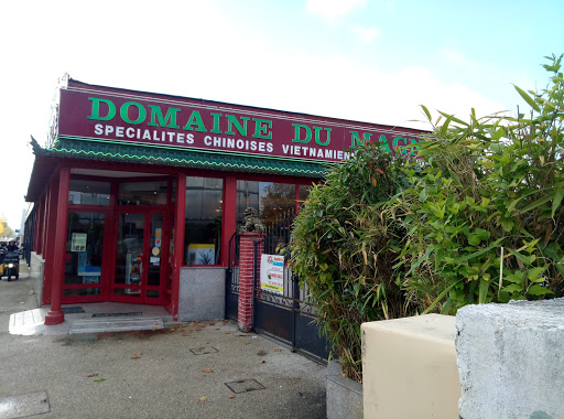 Dégustez de délicieux nems et sushis au restaurant chinois Le Domaine du Magnat à Châlette-sur-Loing