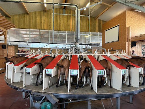 La Ferme du Rondeau est une exploitation agricole familiale bio (élevage et cultures)