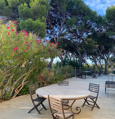 Le restaurant du Château le Bouïs comporte une jolie terrasse panoramique et un rooftop offrant une vue imprenable sur les vignes et la mer à Gruissan