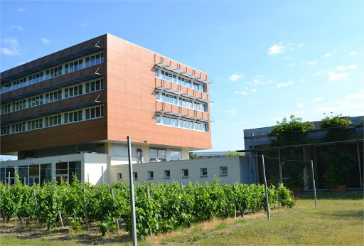 Bienvenue à l'hôtel de Guyenne à Talence. 32 chambres deux étoiles. Restaurant très apprécié. Wifi gratuit. Salle de séminaires.