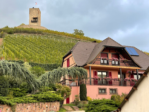 Venez découvrir notre charmant hôtel et restaurant près de Colmar à Katzenthal en Alsace. Toute l'équipe vous recevra avec plaisir !