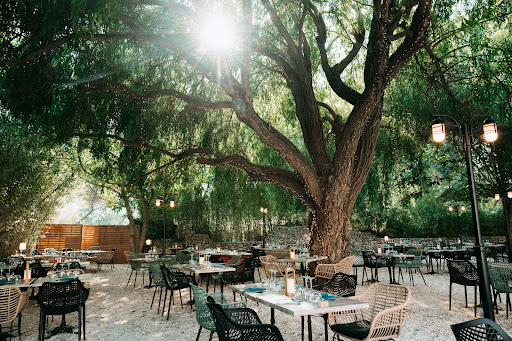 Restaurant ouvert tous les jours midi et soir (sauf le lundi midi). Découvrez nos menus du jour et notre nouvelle carte estivale