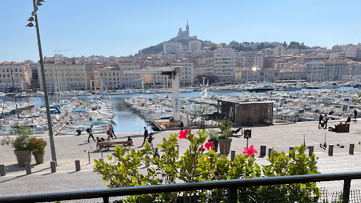 Hôtel écologique & cosy Situé en plein centre de Marseille