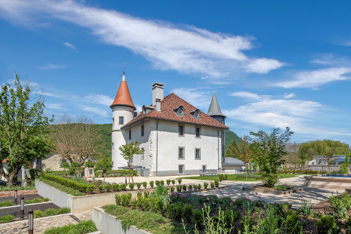 Le Château Brachet est la demeure historique du Docteur Brachet dans la région d’Aix-les-Bains; également connu comme « le médecin des rois »