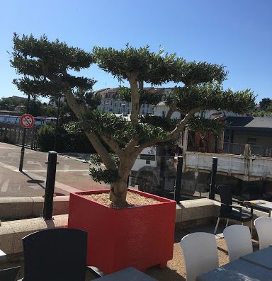 Le Café du Port à Pornic - Restaurant pizzeria Vue sur mer - Port de Pornic : Le Café du Port vous propose sa sélection de pizzas